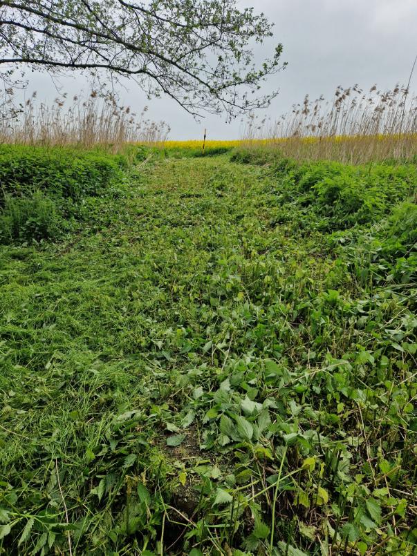vysekání trasy plynového potrubí Heřmánky